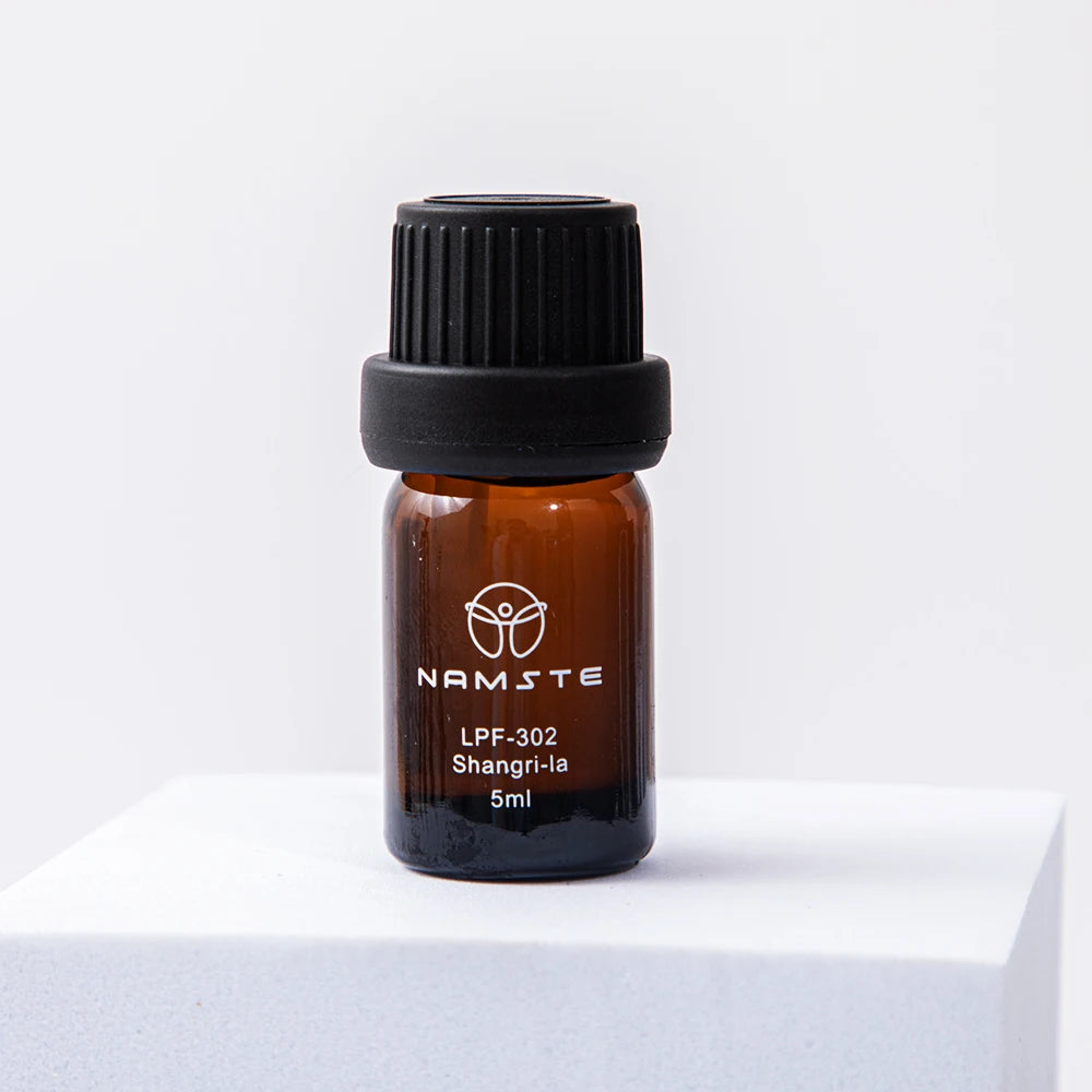 Aroma Diffuser Machine Air Humidifier