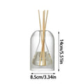 Transparent Glass Fragrance Diffuser